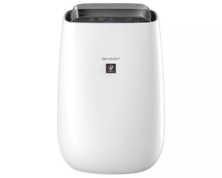 Máy lọc không khí Sharp FP-J40E-W 23W