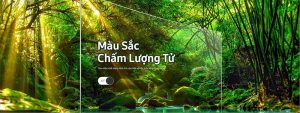 smart-tivi-qled-samsung-4k-65-inch-qa65q7fna-24215-2