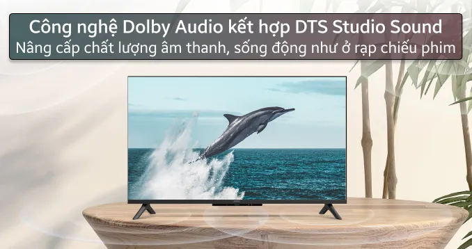 google-tivi-coocaa-4k-55-inch-55y73-56964-1