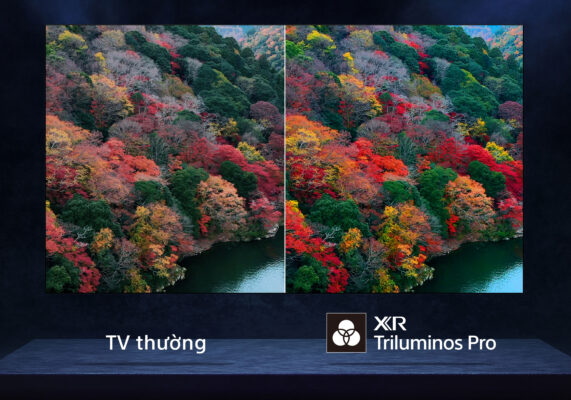 3_XR_Triluminos_Pro-571x400