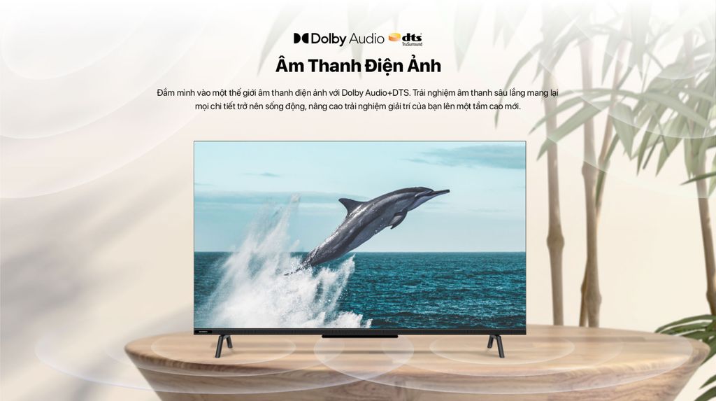 google-tivi-skyworth-4k-50-inch-50g6500g-93563-7