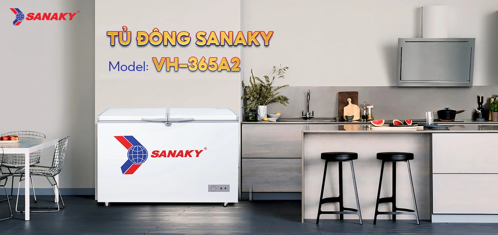 Tủ Đông Sanaky VH-365A2