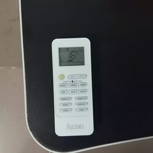 z5297126564440b044e04bcfba554e77897fdb9b425ad5-min-4981