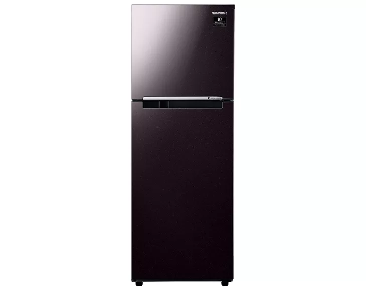 Tủ lạnh Samsung Inverter 236 lít RT22M4032BY/SV