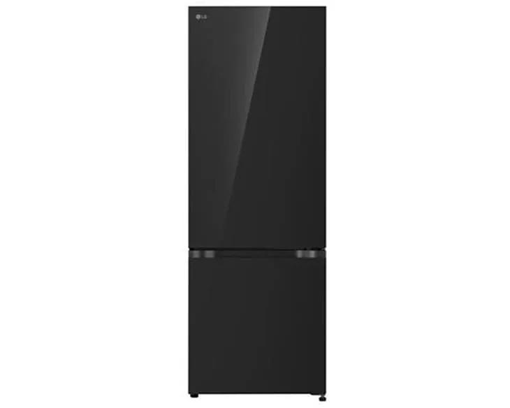 Tủ lạnh LG Inverter 335 lít LBB33BLGA