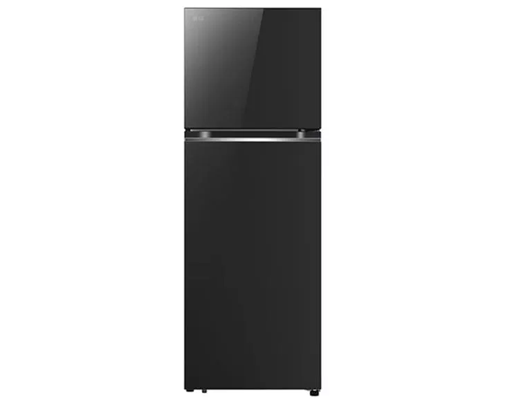 Tủ lạnh LG Inverter 335 lít LTB33BLG