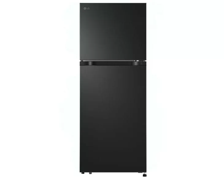 Tủ lạnh LG 217 lít LTB21BLMD